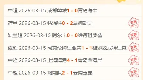“女裁判边裁视角中的赛场瞬间，球员英姿尽显”